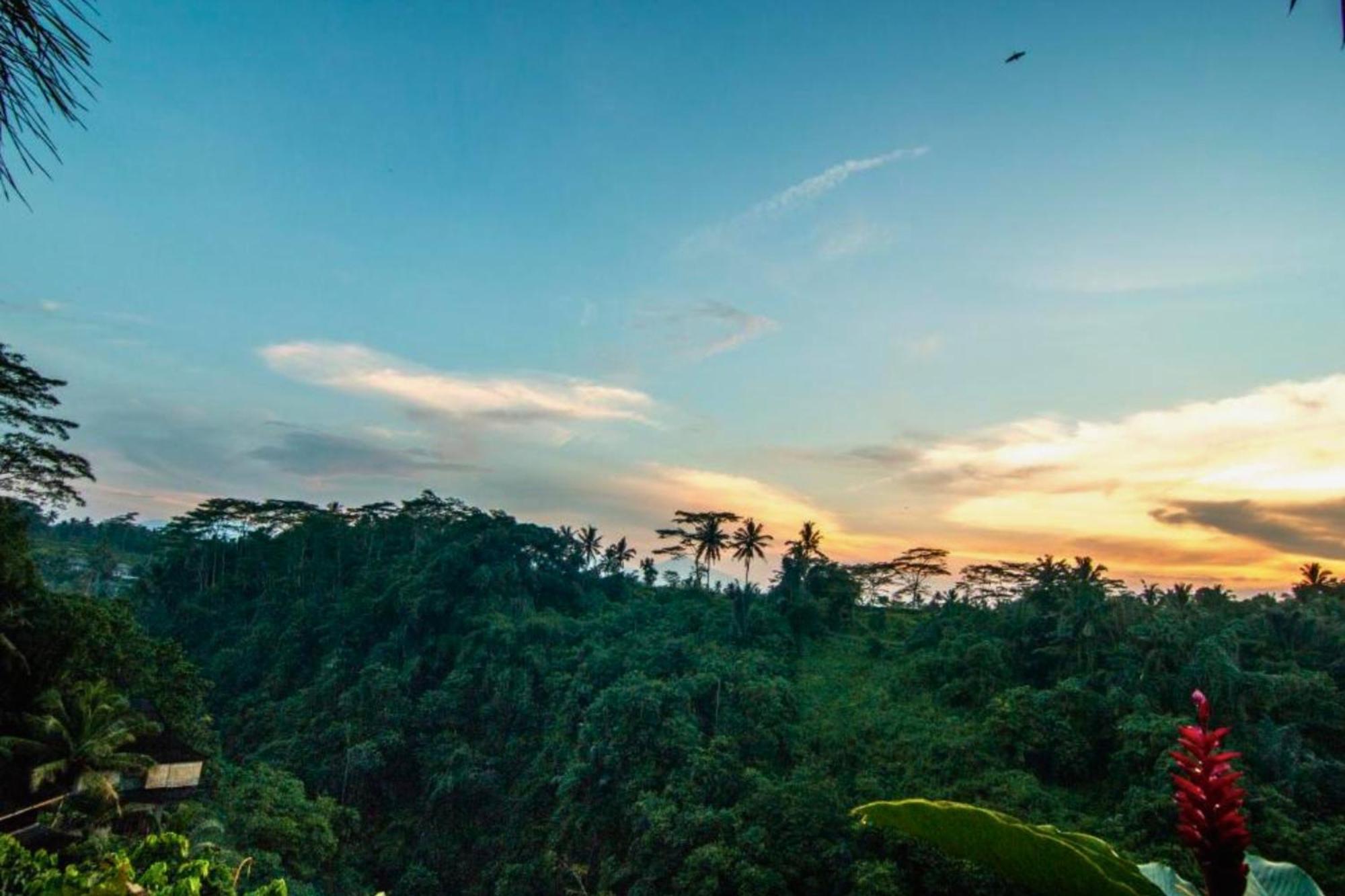 Panorama 4Br Villa Exclusive Presidential Zn58 Ubud Exteriér fotografie